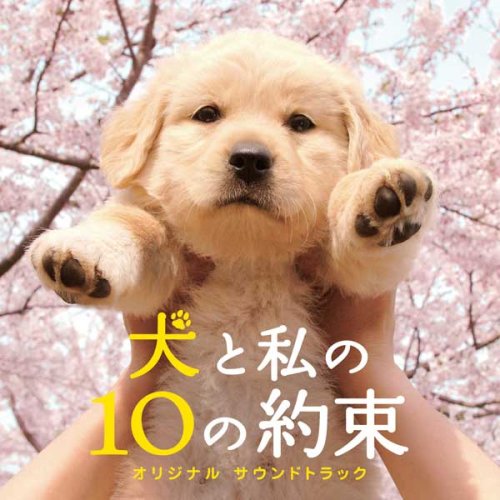 「犬と私の10の約束」