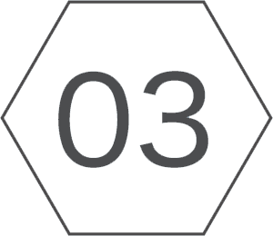 03